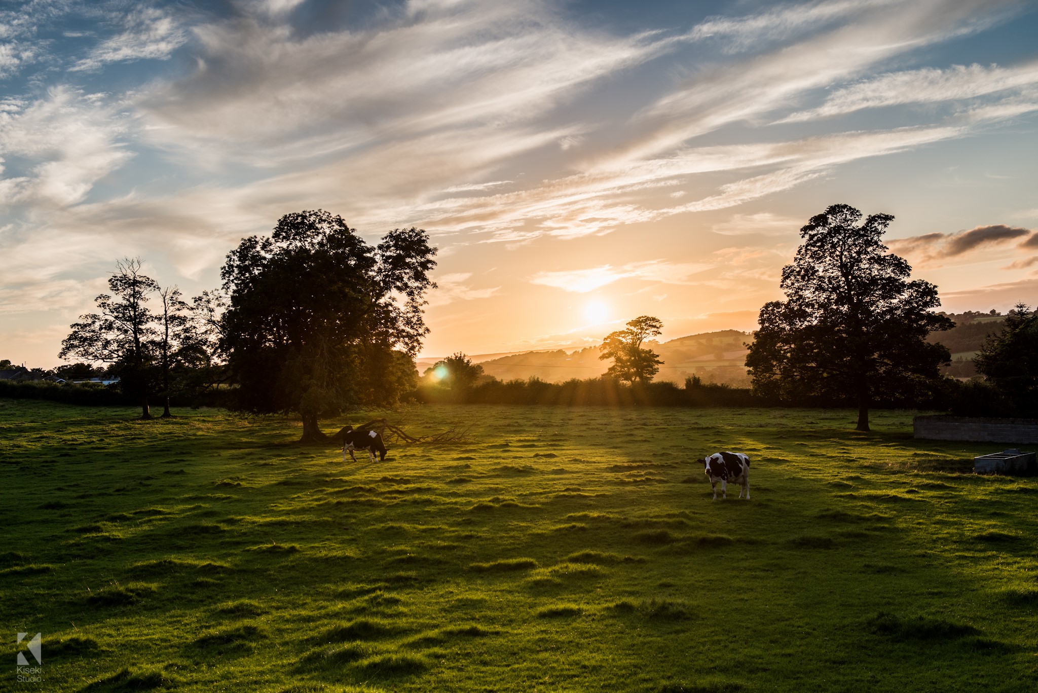 A couple of scenes from Killinghall, Harrogate Kiseki Studio