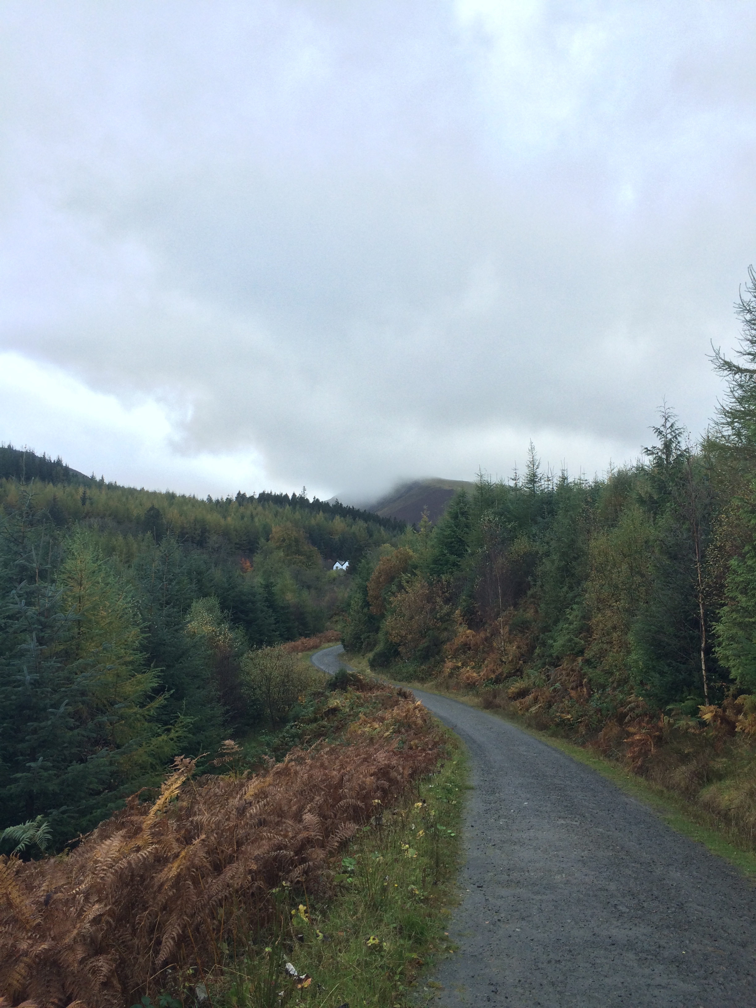 whinlatter mountain bike trails