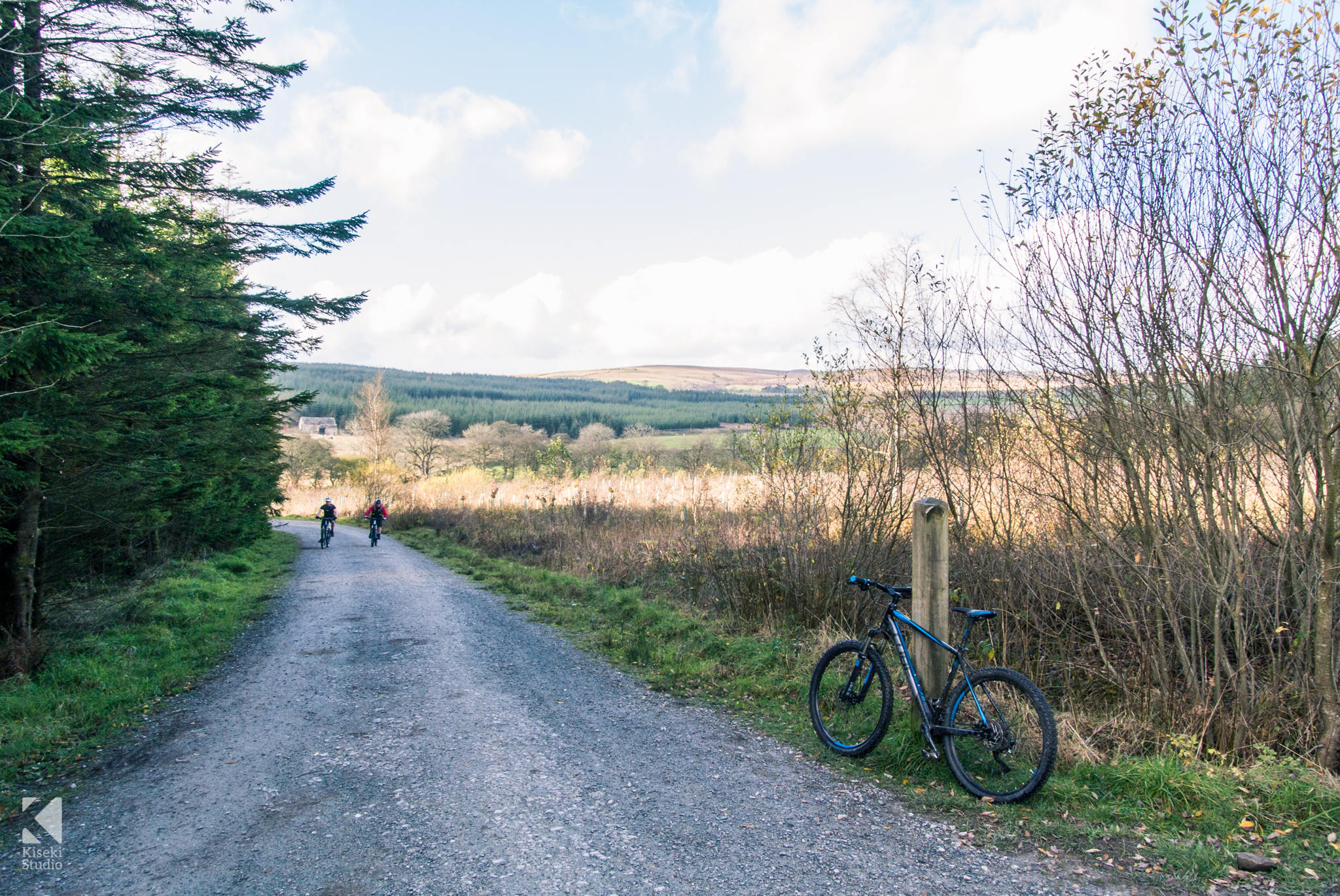 Gisburn Forest - Mountain Bike Ride - Kiseki Studio