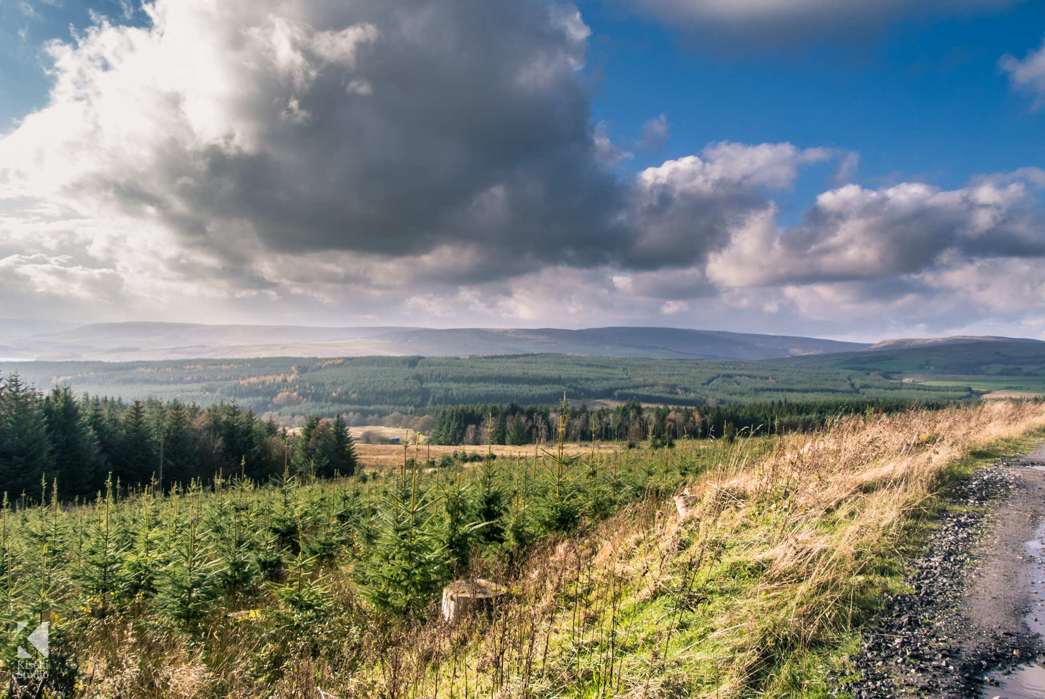 Gisburn Forest - Mountain Bike Ride - Kiseki Studio