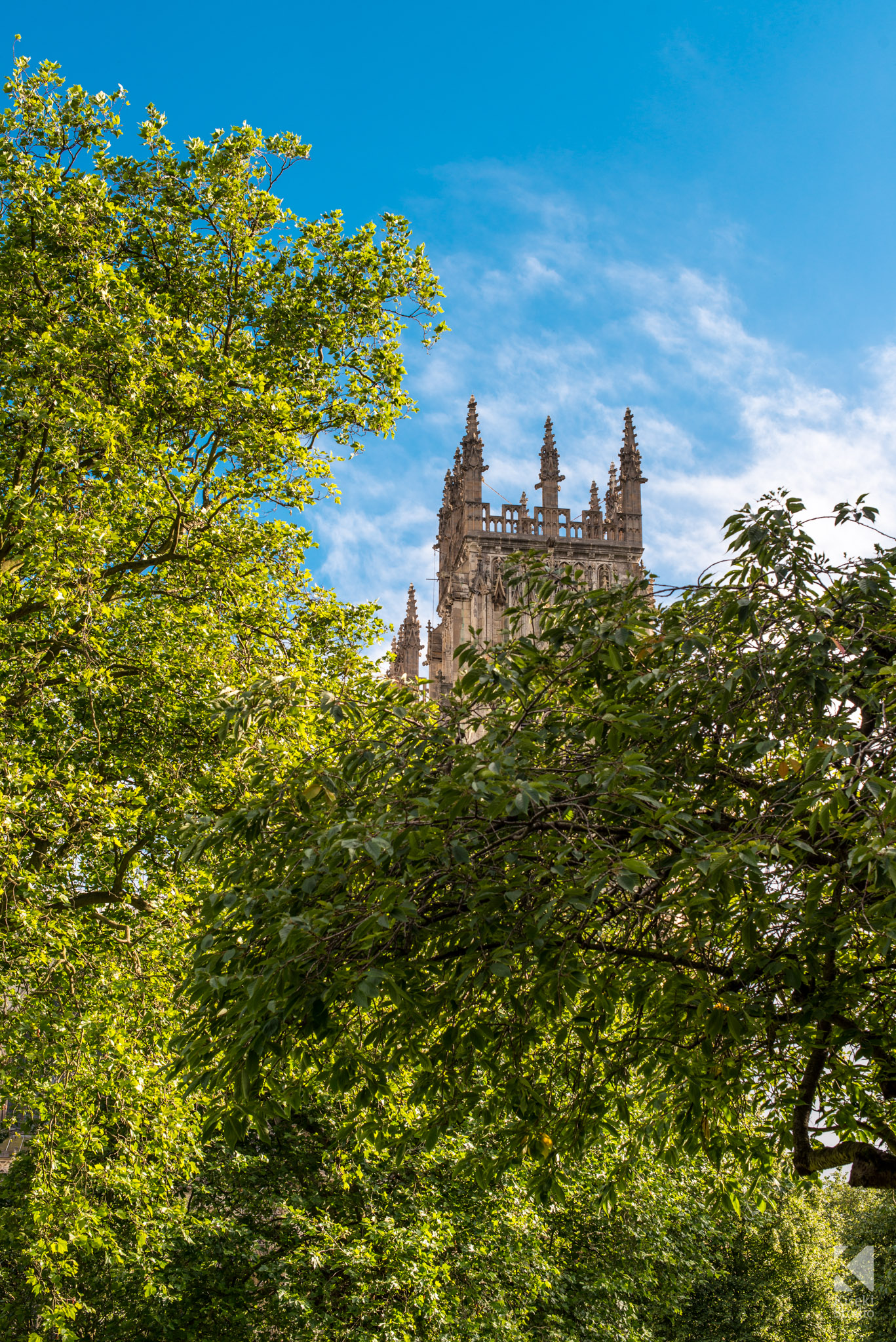 York Minster through the trees with blue sky