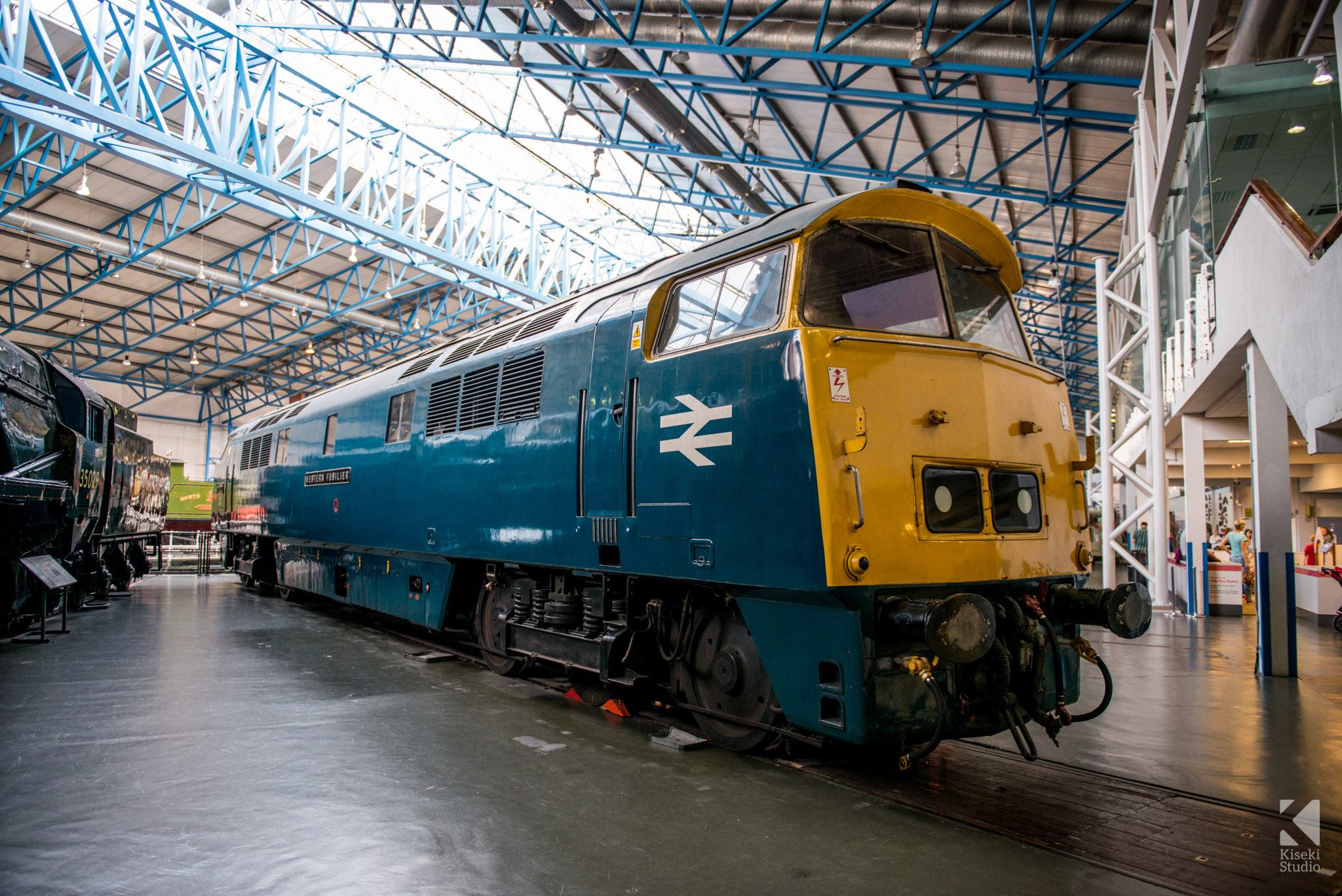 Diesel-hydraulic locomotive, Western Fusilier