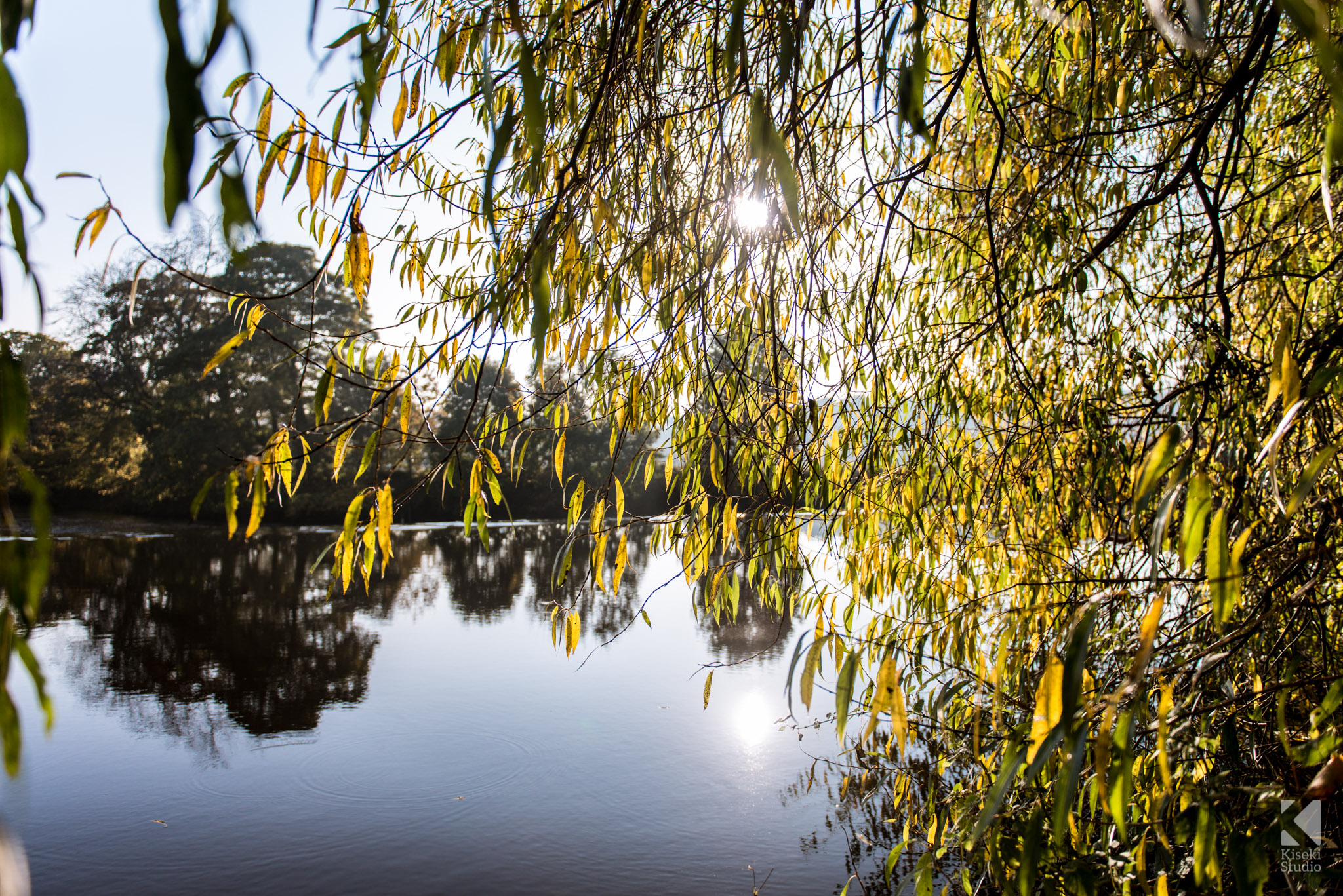 River Aire in Kirkstall with reflections at autumn time