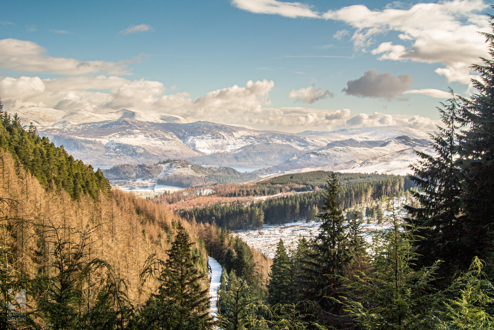 whinlatter-forest-mtb-biking-trails-view-trees-pretty-lake-district-hills-snowy