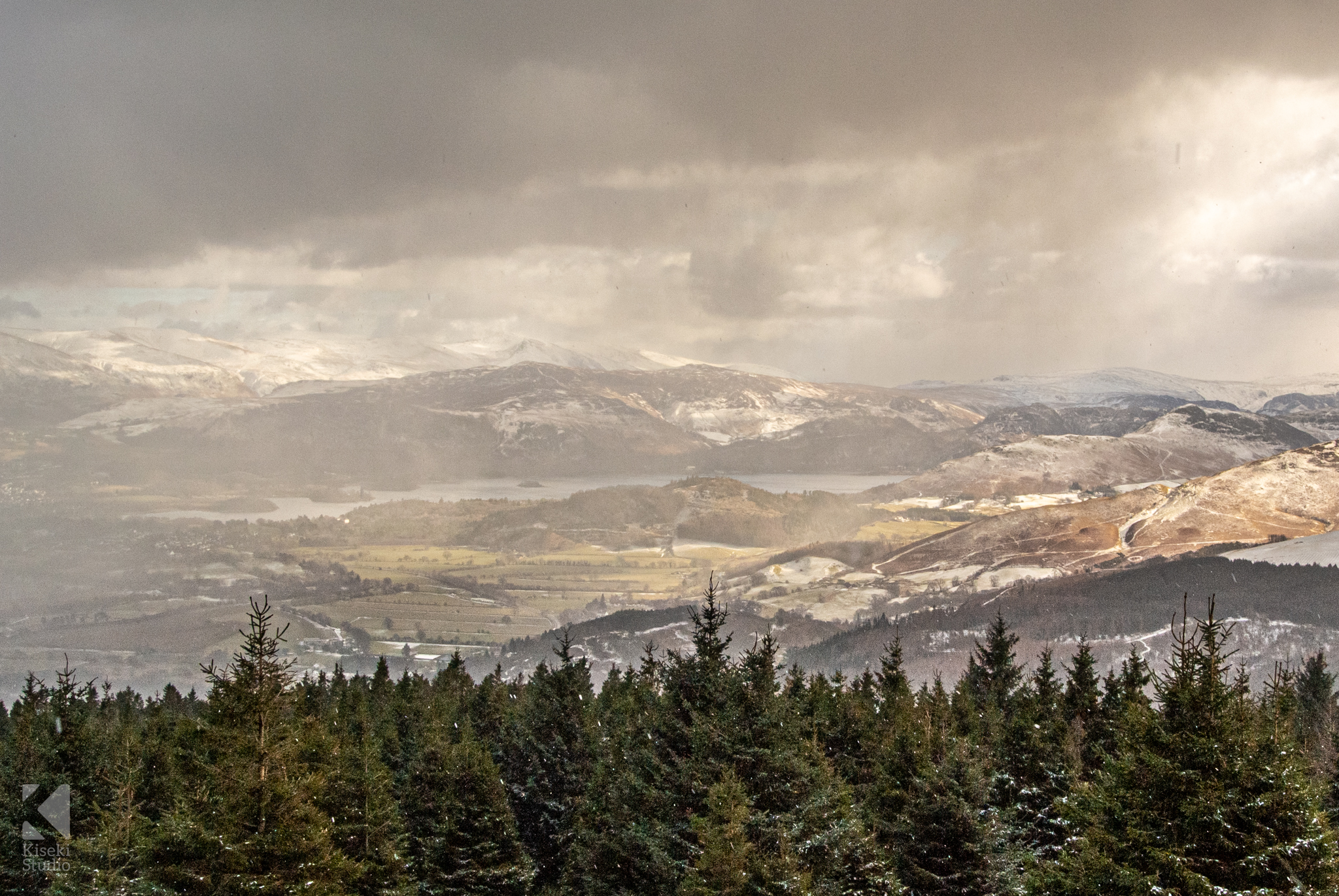 whinlatter-forest-mtb-biking-trails-view-trees-pretty-lake-district-snow-winter